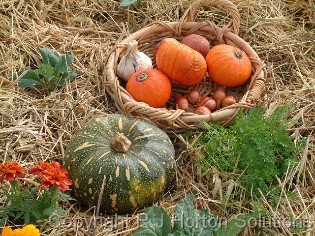 Pumpkins, garlic and shallots